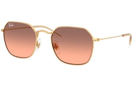 Gafas Junior - Ray-Ban® Junior Collection - RJ9594S - 223/46  GOLD // BROWN GRADIENT PINK