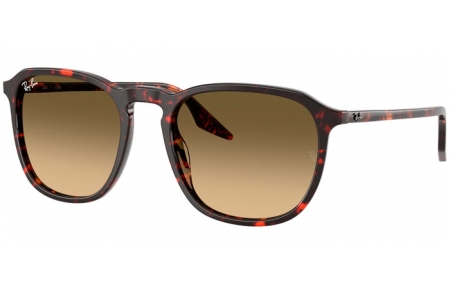 Gafas de Sol - Ray-Ban® - Ray-Ban® RB2203 - 14290A  RED HAVANA // BROWN GRADIENT