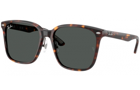 Gafas de Sol - Ray-Ban® - Ray-Ban® RB2206D - 710/87  HAVANA // DARK GREY