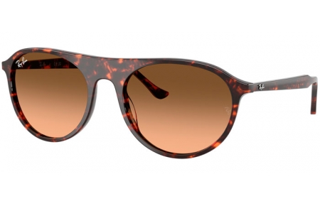 Gafas de Sol - Ray-Ban® - Ray-Ban® RB2215 - 14293B  RED HAVANA // BLACK GRADIENT PINK