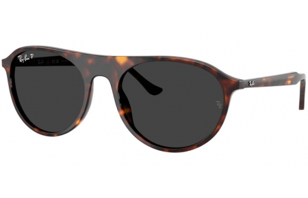Sunglasses - Ray-Ban® - Ray-Ban® RB2215 - 902/48  HAVANA // BLACK POLARIZED