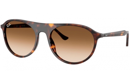 Lunettes de soleil - Ray-Ban® - Ray-Ban® RB2215 - 902/51  HAVANA // BROWN GRADIENT