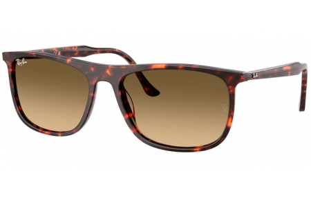 Gafas de Sol - Ray-Ban® - Ray-Ban® RB2216 - 14290A  HAVANA // BROWN GRADIENT