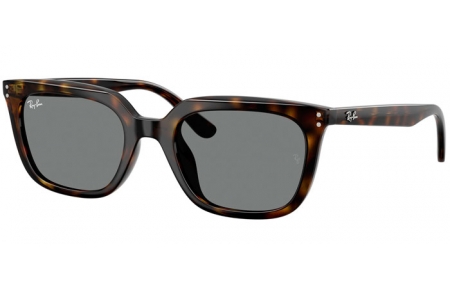 Gafas de Sol - Ray-Ban® - Ray-Ban® RB4439D - 710/87  HAVANA // GREY