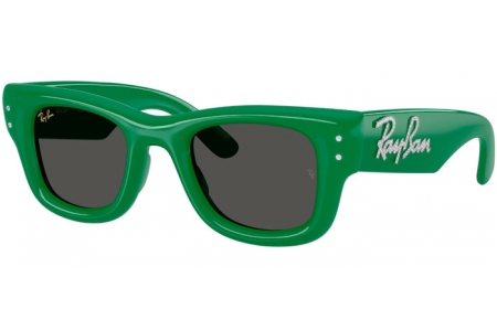 Gafas de Sol - Ray-Ban® - Ray-Ban® RB4940B WAYFARER PUFFER - 685987  GREEN AND STRASS // DARK GREY
