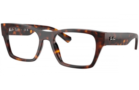 Monturas - Ray-Ban® - RX5448 - 2012  HAVANA