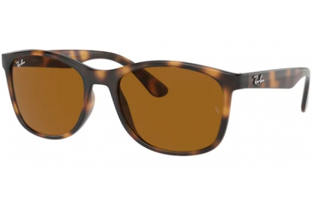 Sunglasses - Ray-Ban® - Ray-Ban® RB4374 - 710/33 HAVANA // BROWN