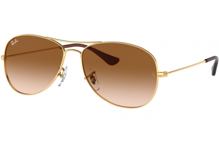 Gafas de Sol - Ray-Ban® - Ray-Ban® RB3362 COCKPIT - 001/51 ARISTA // CRYSTAL BROWN GRADIENT