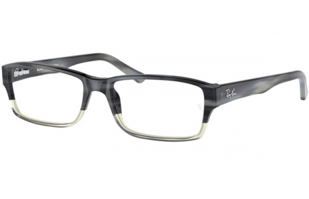 Lunettes de vue - Ray-Ban® - RX5169 - 5540 GREY HORN GRADIENT TRANSPARENT GREY