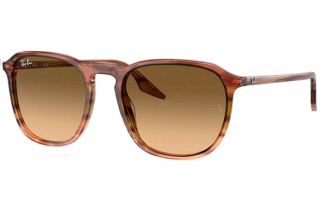 Gafas de Sol - Ray-Ban - RB2197 ELLIOT - 13920A  STRIPED BROWN GREEN // BLACK GRADIENT BROWN
