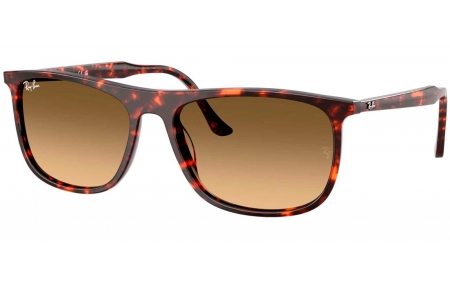Gafas de Sol - Ray-Ban - RB2216 - 14290A  HAVANA // BROWN GRADIENT