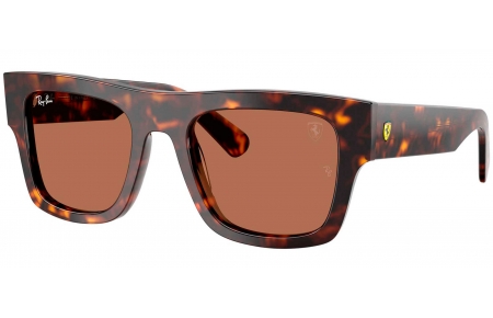 Gafas de Sol - Ray-Ban - RB2217M - F61373  HAVANA // DARK BROWN