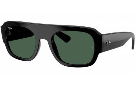 Gafas de Sol - Ray-Ban - RB2218 - 667771  BLACK // DARK GREEN