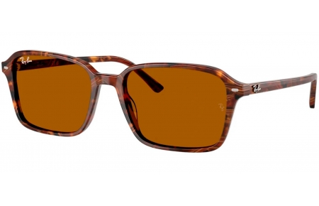 Gafas de Sol - Ray-Ban - RB2231 RAIMOND - 141833  FANTASY BROWN TRANSPARENT // B-15 BROWN