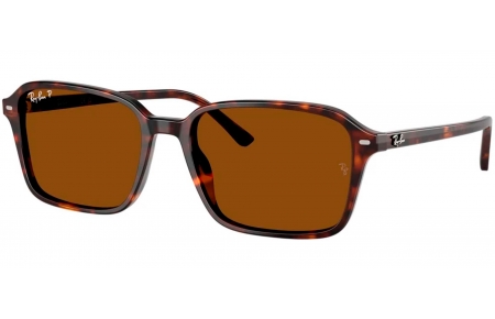 Gafas de Sol - Ray-Ban - RB2231 RAIMOND - 902/57 HAVANA // B-15 BROWN POLARIZED