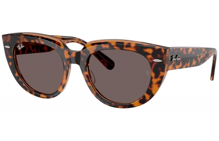 Gafas de Sol - Ray-Ban - RB2286 DOREEN - 1292B1  HAVANA ON TRANSPARENT BROWN // DARK GREY