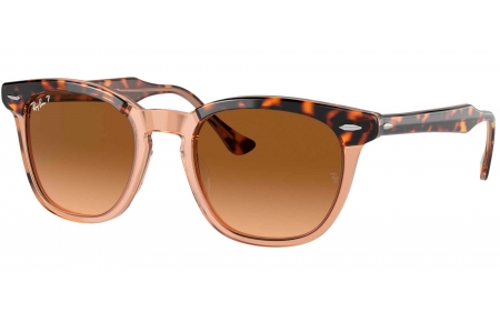 Gafas de Sol - Ray-Ban - RB2298 HAWKEYE - 1292M2 HAVANA ON TRANSPARENT BROWN // BROWN GRADIENT POLARIZED