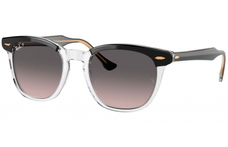 Gafas de Sol - Ray-Ban - RB2298 HAWKEYE - 1294M3 BLACK ON TRANSPARENT // GREY GRADIENT POLARIZED