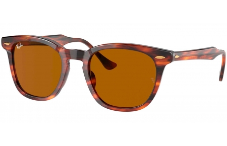 Gafas de Sol - Ray-Ban - RB2298 HAWKEYE - 954/33 STRIPED HAVANA // BROWN