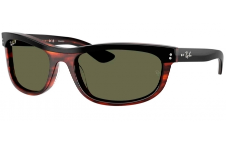 Gafas de Sol - Ray-Ban - RB2489 BALORAMA - 144058  BLACK ON HAVANA // GREEN POLARIZED