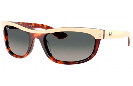 Gafas de Sol - Ray-Ban - RB2489 BALORAMA - 144371  BEIGE ON HAVANA  // GREY GRADIENT