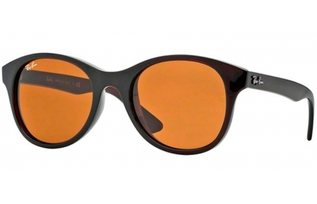 Gafas de Sol - Ray-Ban - RB4203 - 714 SHINY BROWN // BROWN