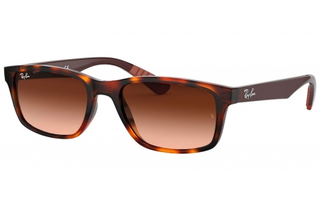 Gafas de Sol - Ray-Ban - RB4234 - 620513 HAVANA // BROWN GRADIENT