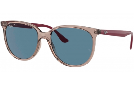 Gafas de Sol - Ray-Ban - RB4378 - 65722V TRANSPARENT GREY // DARK BLUE POLARIZED