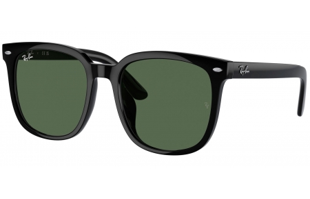Gafas de Sol - Ray-Ban - RB4401D - 601/71  BLACK // DARK GREEN