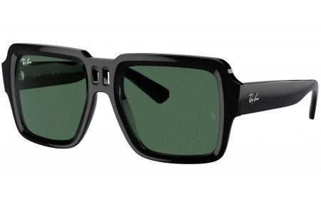 Gafas de Sol - Ray-Ban - RB4408 MAGELLAN - 667771  BLACK // DARK GREEN