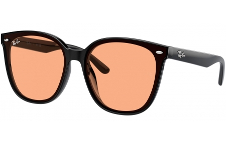 Gafas de Sol - Ray-Ban - RB4423D - 601/93 BLACK // LGIHT BROWN