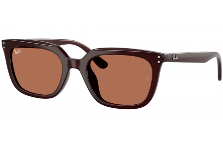 Gafas de Sol - Ray-Ban - RB4439D - 623173  OPAL BROWN // DARK BROWN