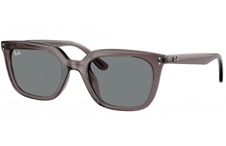 Gafas de Sol - Ray-Ban - RB4439D - 667587  TRANSPARENT GREY // DARK GREY