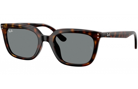 Gafas de Sol - Ray-Ban - RB4439D - 710/87  HAVANA // GREY