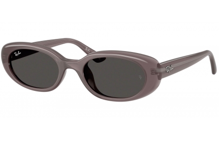 Gafas de Sol - Ray-Ban - RB4441D - 677787  TRANSPARENT DARK GREY // DARK GREY