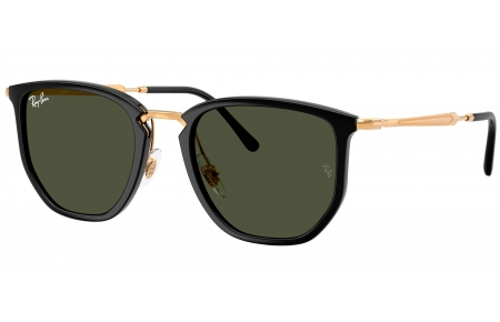 Gafas de Sol - Ray-Ban - RB4451 - 630631  BLACK // GREEN