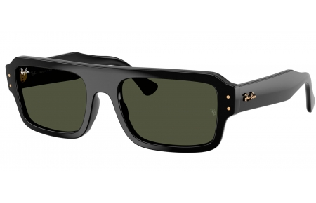 Gafas de Sol - Ray-Ban - RB4454 - 667731  BLACK // GREEN
