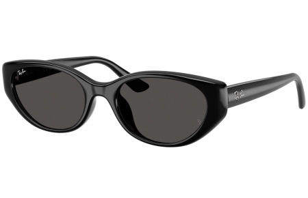 Gafas de Sol - Ray-Ban - RB4457D - 667787  BLACK // DARK GREY