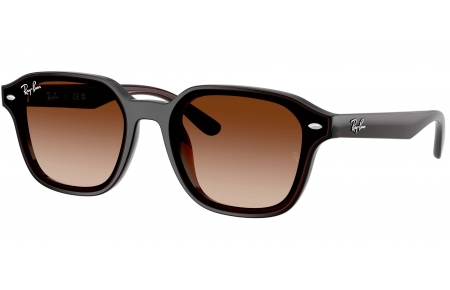 Gafas de Sol - Ray-Ban - RB4458D - 714/13 TRANSPARENT DARK BROWN // BROWN GRADIENT