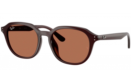 Gafas de Sol - Ray-Ban - RB4459D - 623173  OPAL BROWN // DARK BROWN