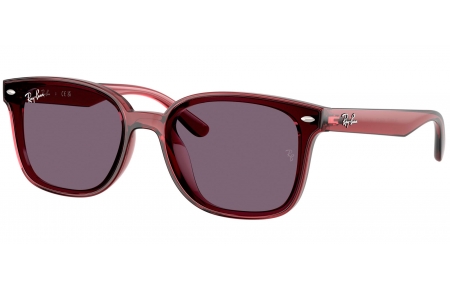 Gafas de Sol - Ray-Ban - RB4461D - 659373  TRANSPARENT DARK BROWN // VIOLET