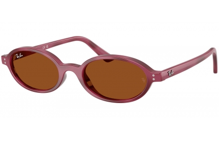 Gafas de Sol - Ray-Ban - RB4472 - 685773  HAVANA VIOLET // DARK BROWN