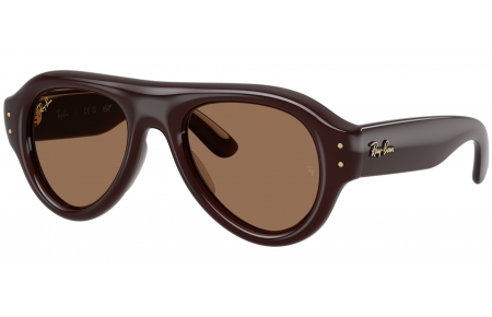 Gafas de Sol - Ray-Ban - RB4925 - 689673  DARK BROWN // DARK BROWN