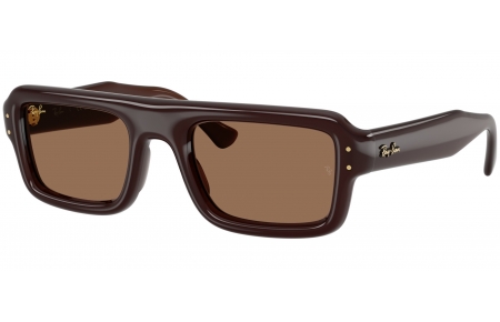 Gafas de Sol - Ray-Ban - RB4954 - 689673  DARK BROWN // DARK BROWN