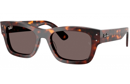 Gafas de Sol - Ray-Ban - RB7683S JOSEPH - 902/B1 HAVANA // DARK GREY
