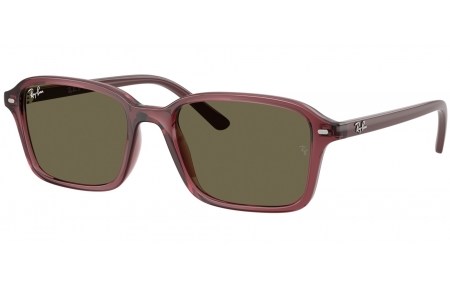Gafas Junior - Ray-Ban Junior Collection - RJ9131S - 7197/3 TRANSPARENT DARK VIOLET // BROWN