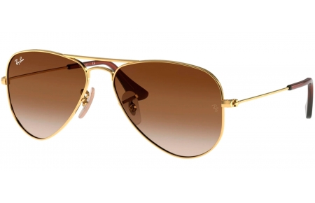 Gafas Junior - Ray-Ban Junior Collection - RJ9506S - 223/13 GOLD // BROWN GRADIENT