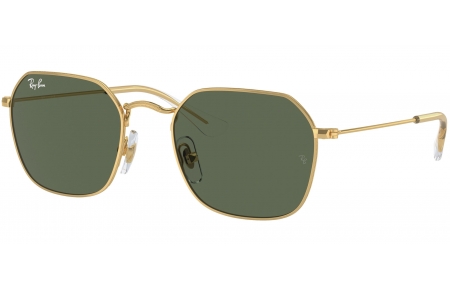 Gafas Junior - Ray-Ban Junior Collection - RJ9594S - 223/71 ARISTA GOLD // DARK GREEN