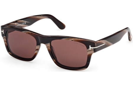 Sunglasses - Tom Ford - SMITH-02 FT1303 - 64E  STRIPED BROWN // BROWN