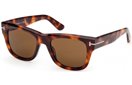 Sunglasses - Tom Ford - FINN-02 FT1304 - 53E  HAVANA // BROWN